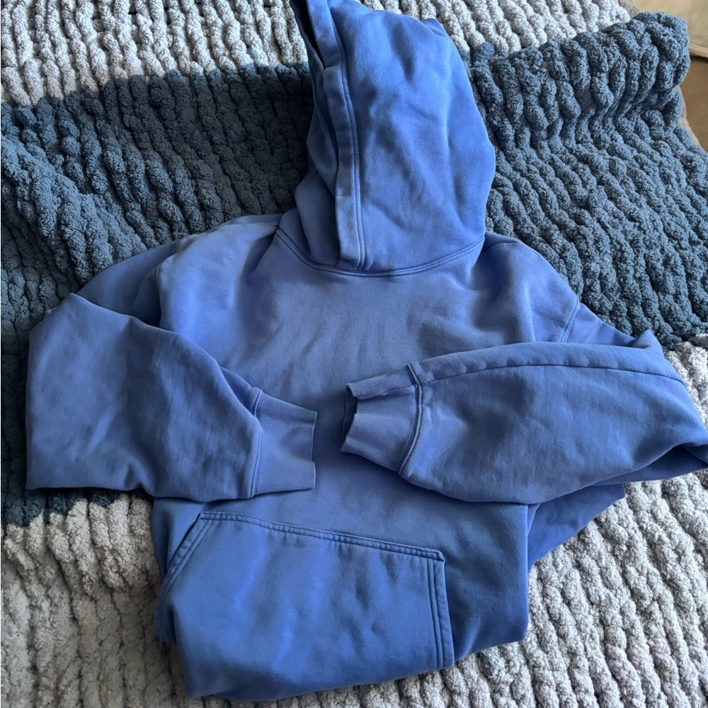 ARITZIA PERFECT HOODIE